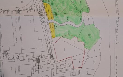 Terreno boschivo in Vendita – Sedrina (BG) Mq 20.000 servito strada !!!